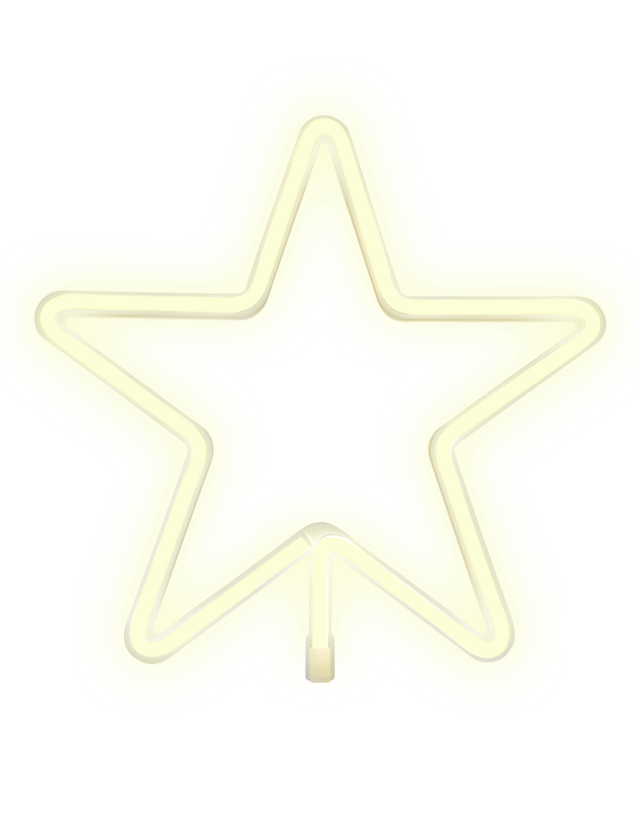 Rox LED Neon Sign - Star